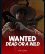 Wanted Dead or a Wild